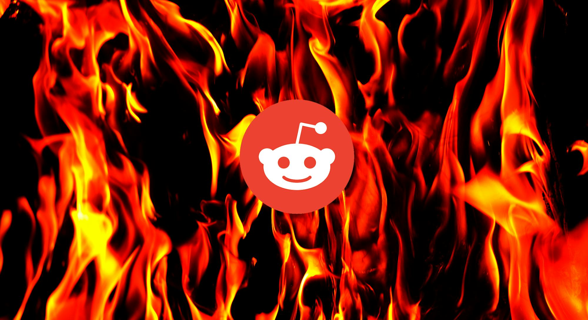 The Strange Psychology Of Reddit S R Roastme The Strange Psychology Of Reddit S R Roastme