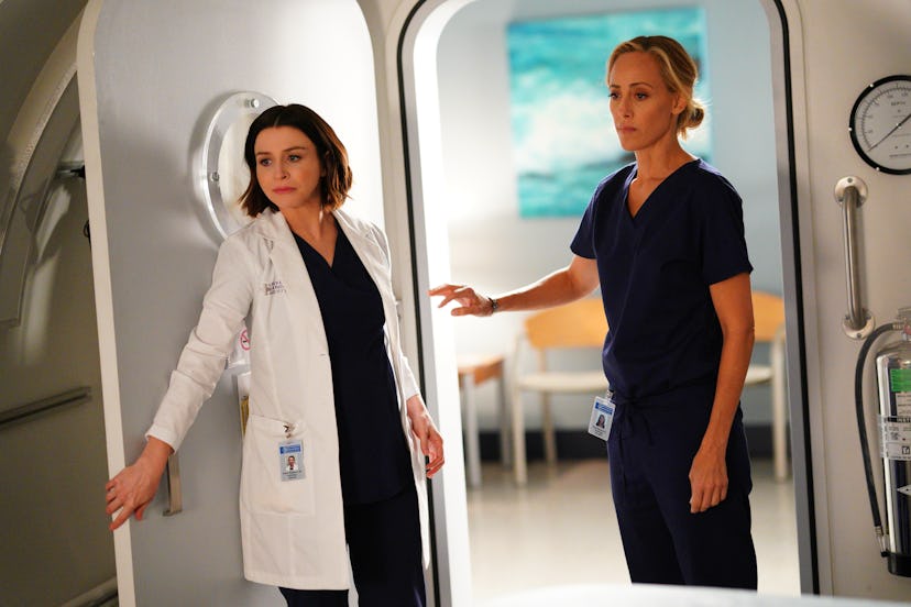 Amelia (Caterina Scorson) assured Teddy (Kim Raver) of how much Owen loves her in the 'Grey's Anatom...