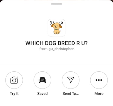 Here's How To Get The "Which Dog" Instagram Story Filter so you can match yourself up with one of yo...