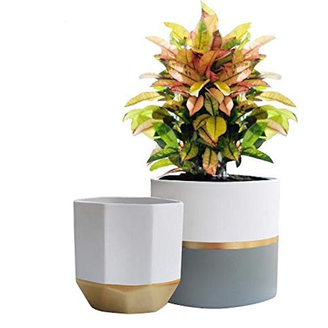 Exquis Home Ceramic Flower Pot 
