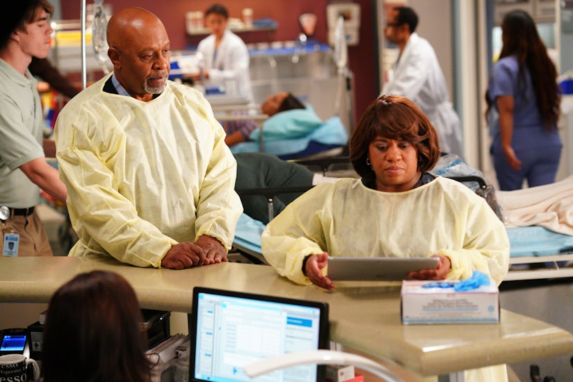Bailey (Chandra Wilson) expressed grief over her miscarriage to Webber (James Pickens Jr.) during th...
