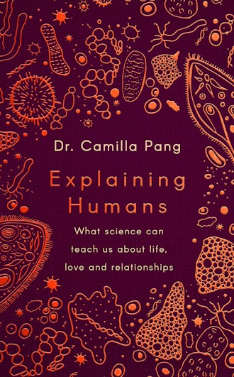 Explaining Humans: What Science Can Teach Us about Life, Love and Relationships by Camilla Pang