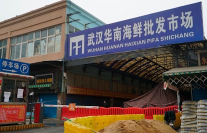 The Wuhan Huanan Wholesale Seafood Market, where the coronavirus outbreak is believed to have starte...
