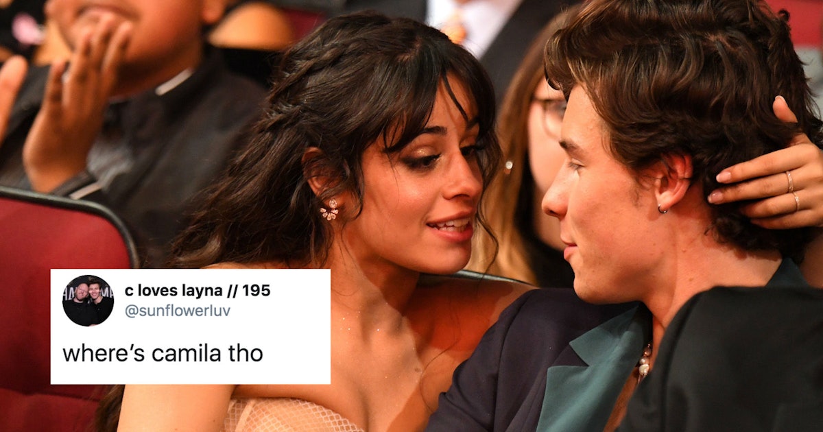 The Tweets About Shawn Mendes Camila Cabello At The 2020 Grammys All Ask 1 Question