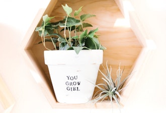 You Grow Girl Pot
