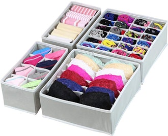 Simple Houseware Closet Underwear Organizer (4 Pieces)