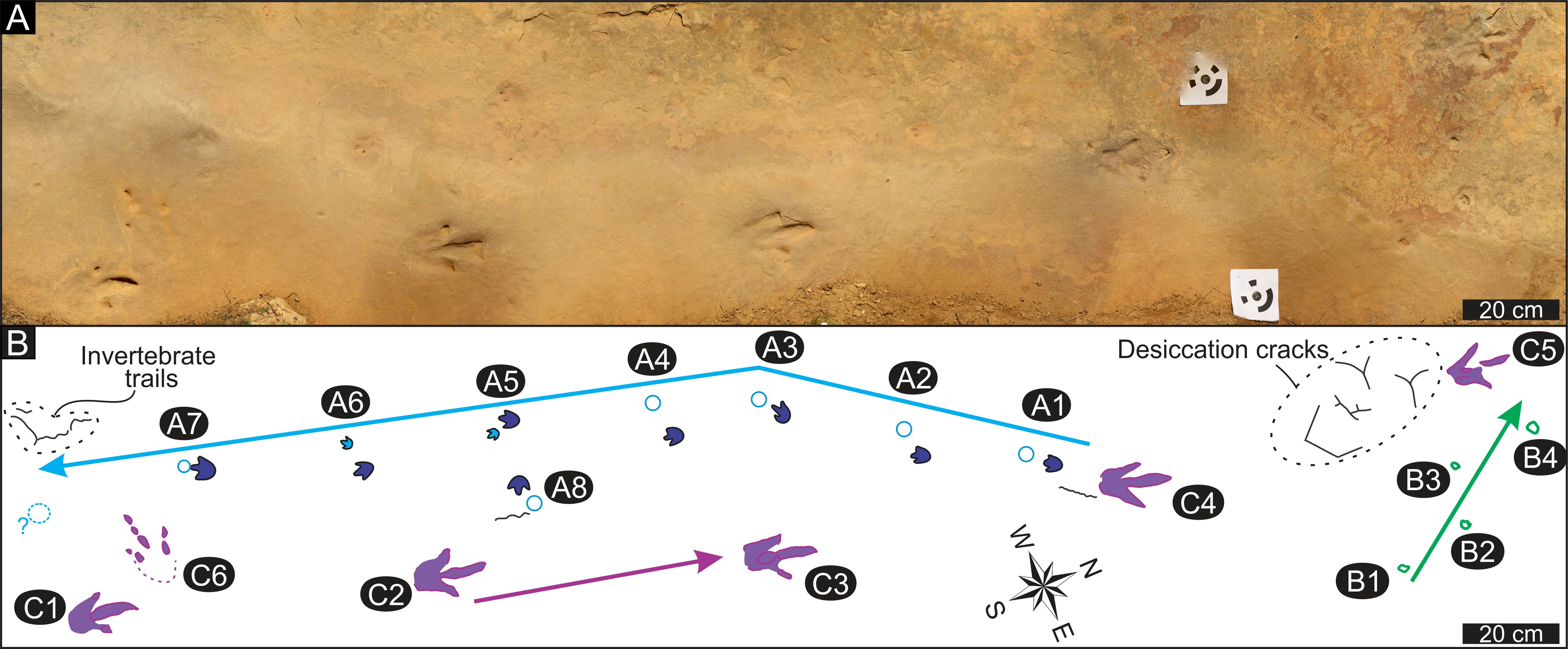 UFOS of UAPS, ASTRONOMIE, RUIMTEVAART, ARCHEOLOGIE, OUDHEIDKUNDE, SF-SNUFJES EN ANDERE ESOTERISCHE WETENSCHAPPEN afbeelding