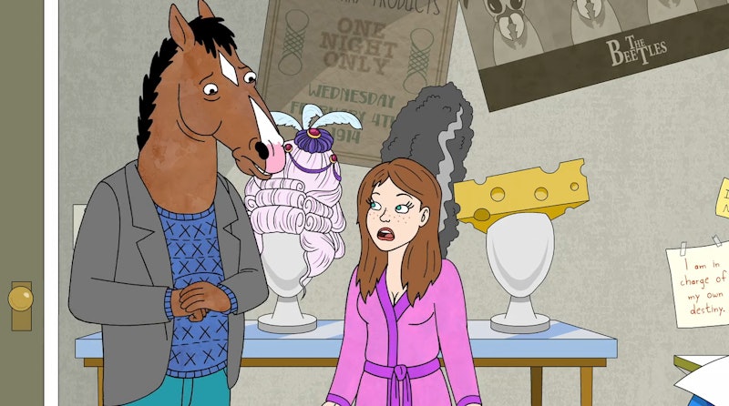 What Happened With Sarah Lynn On 'BoJack Horseman'? 13 Episodes To