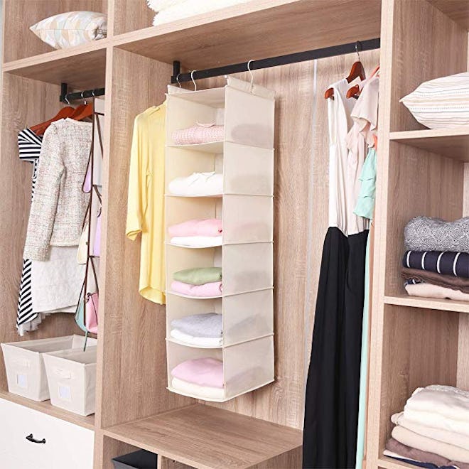 MAX Houser 6-Tier Closet Organizer