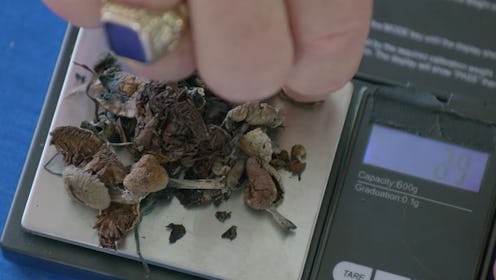 Psychedelic mushrooms weighed out on a scale, as shown in Netflix's original show "The goop Lab." St...