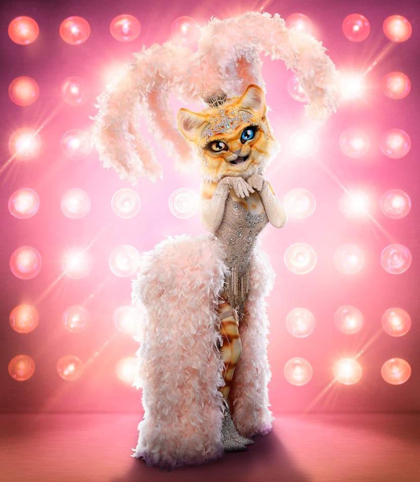 The Kitty in The Masked Singer Season 3. 