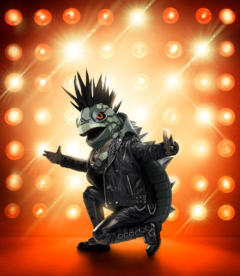 The Turtle in The Masked Singer Season 3. 