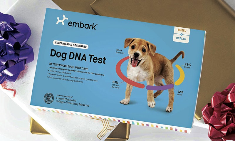 Amazon dog dna Clearance