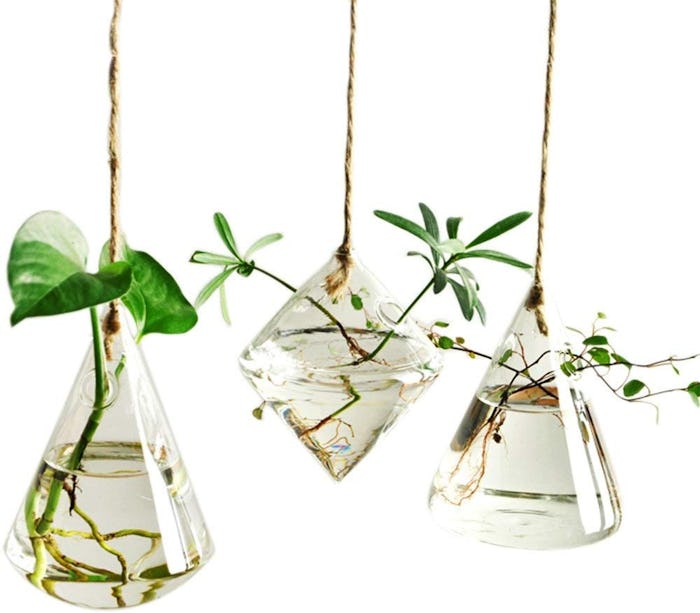 Ivolador Hanging Glass Terrarium (Set of 3)
