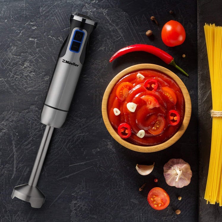 Müeller Austria 500-Watt Immersion Blender