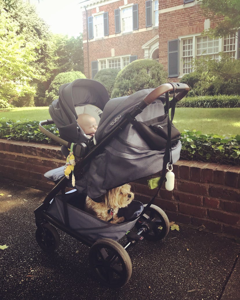 A stroller with baby and dog