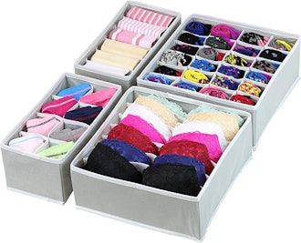 Simple Houseware Closet Underwear Organizer (4-Piece Set)