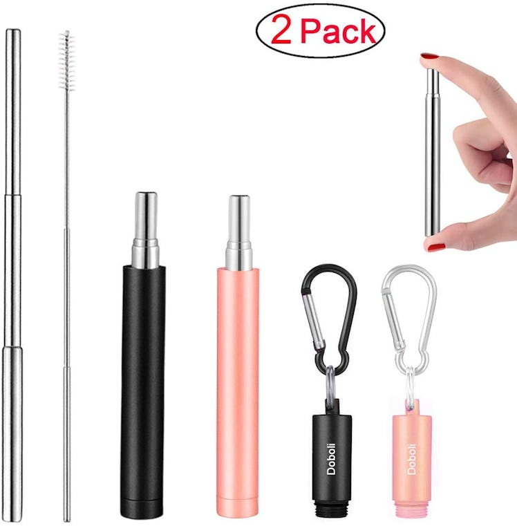 2 Pack Reusable Metal Straws