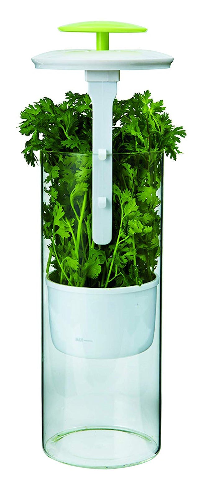Premium Herb Keeper and Herb Storage Container