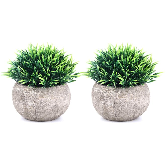 The Bloom Times Fake Plants (2-Pack)