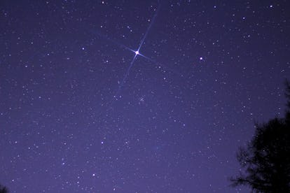 Sun in the 1st House