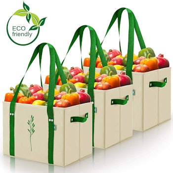 Green BD’s Reusable Grocery Bags (3-Pack)
