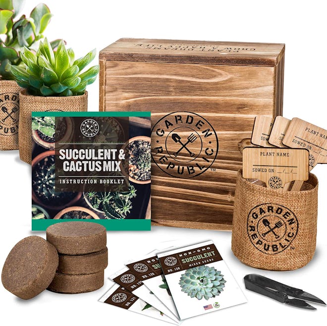 GARDEN REPUBLIC Cactus Succulent Seed Starter Kit