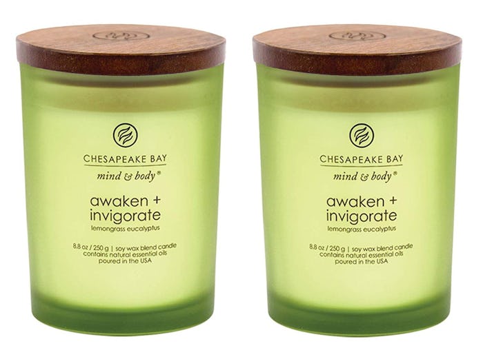 Chesapeake Bay Candle Scented Candles (2-Pack)