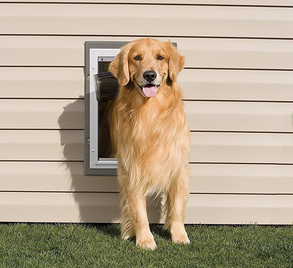 The 5 Best Insulated Dog Doors