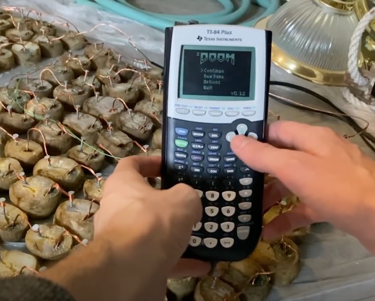 The game Doom running on a TI-84 calculator can be powered using energy from potatoes.