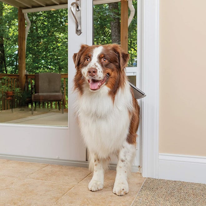 PetSafe Freedom Sliding Glass Pet Door, Large