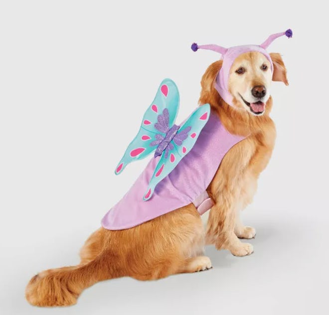 Butterfly Halloween Dog and Cat Costume 