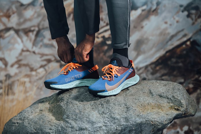 Nike Pegasus Trail 2 Gore-Tex