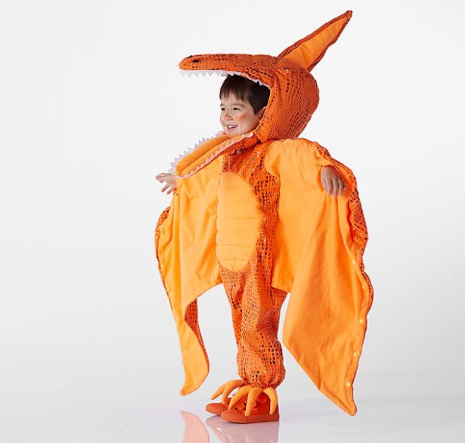 Toddler Light Up Pterodactyl Halloween Costume