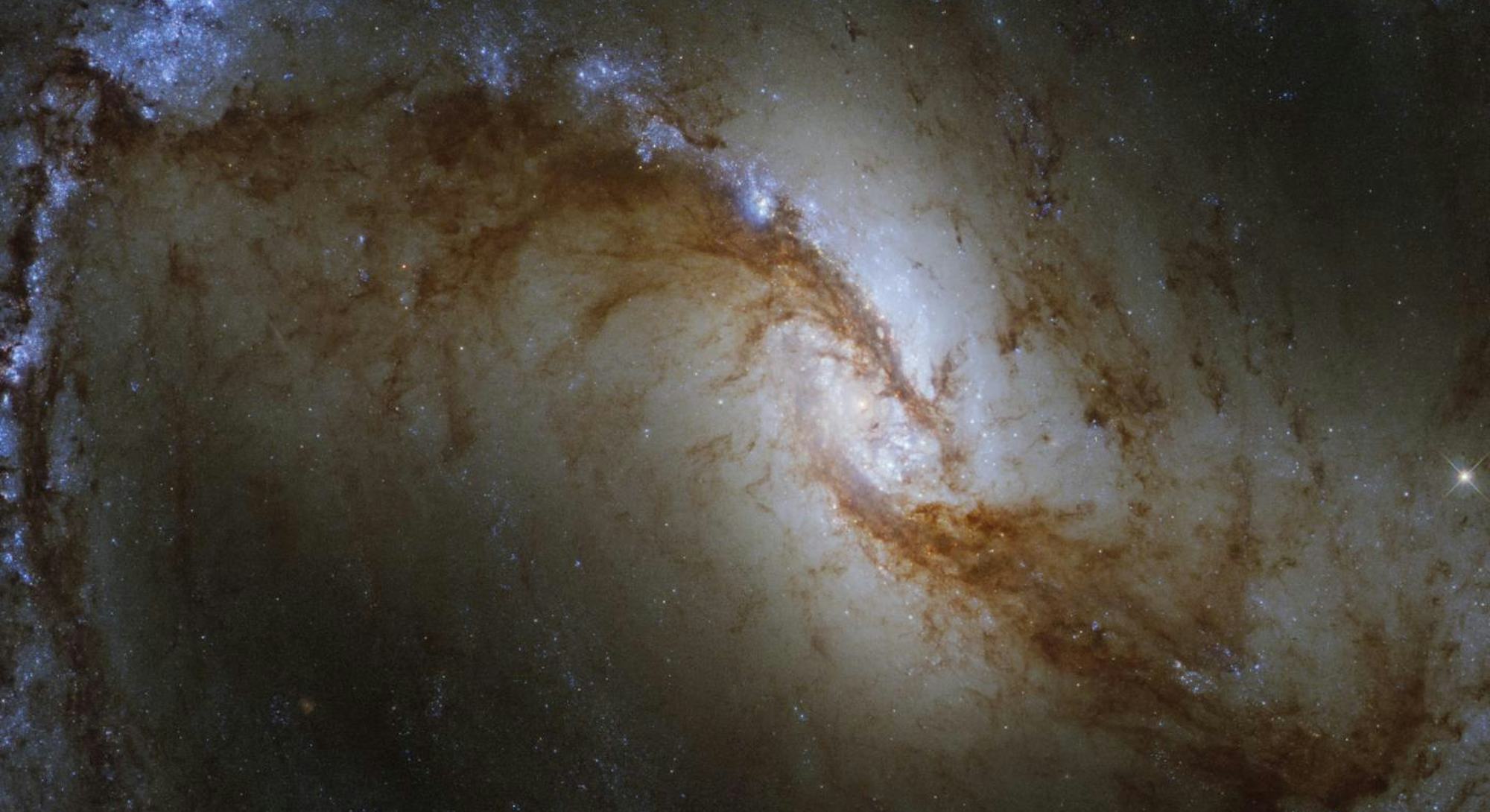 Stunning Images Reveal Stellar Nurseries Stunning Images Reveal Stellar Nurseries
