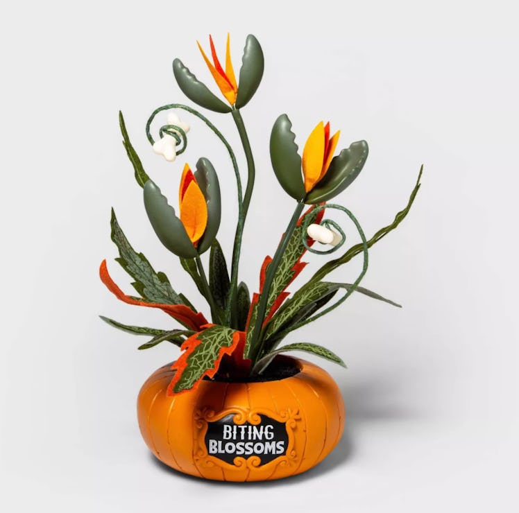 16" Faux Creepy Orange Pumpkin Halloween Planter - Hyde & EEK! Boutique™