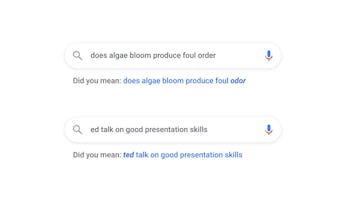 Misspelled search queries being corrected by Google.