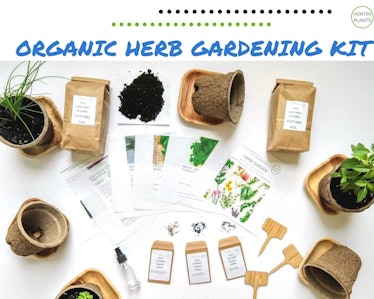 Organic Kitchen Herb Gardening Kit