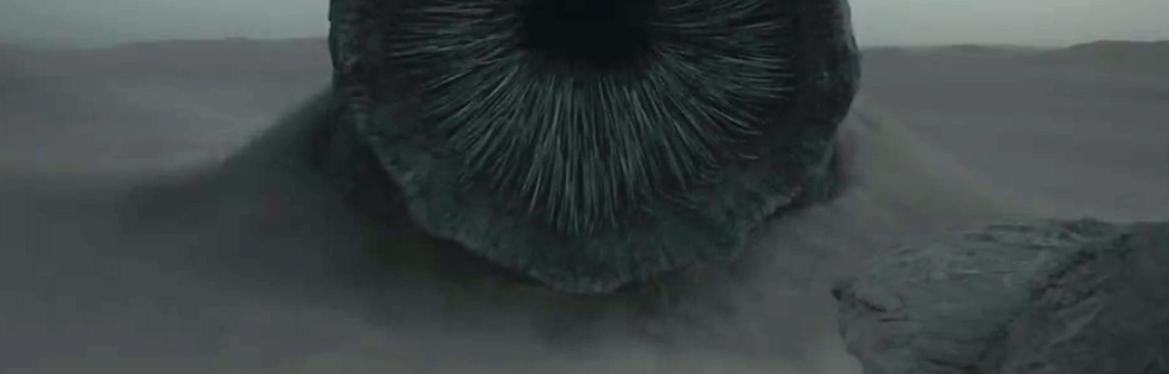 'Dune' 2021: Why the delay could save the movie and get us more sequels