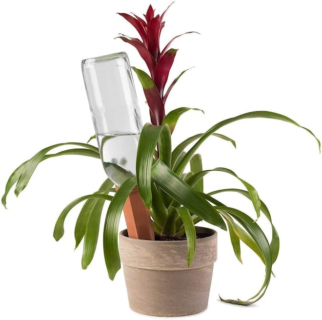 Modern Innovations Self-Watering Plant Stakes (4-Pack)
