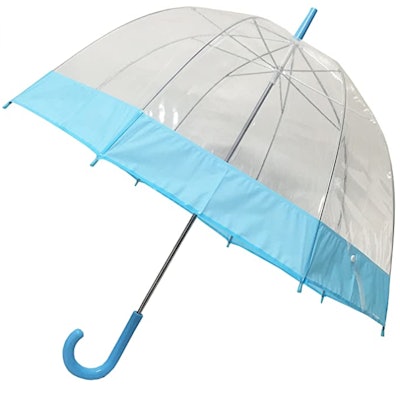 Blue Trim Clear Umbrella