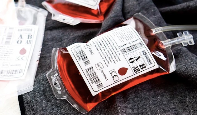 Blood Bag Cocktail Recipe