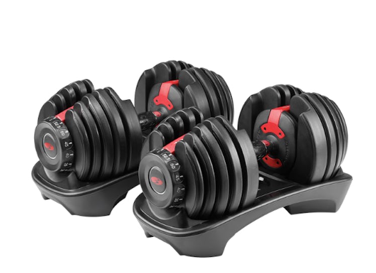 Bowflex SelectTech 552 Dumbbells