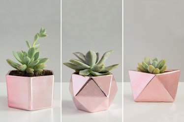 Set of 3 Geometric Rose Gold Pink Succulent Cactus Planters