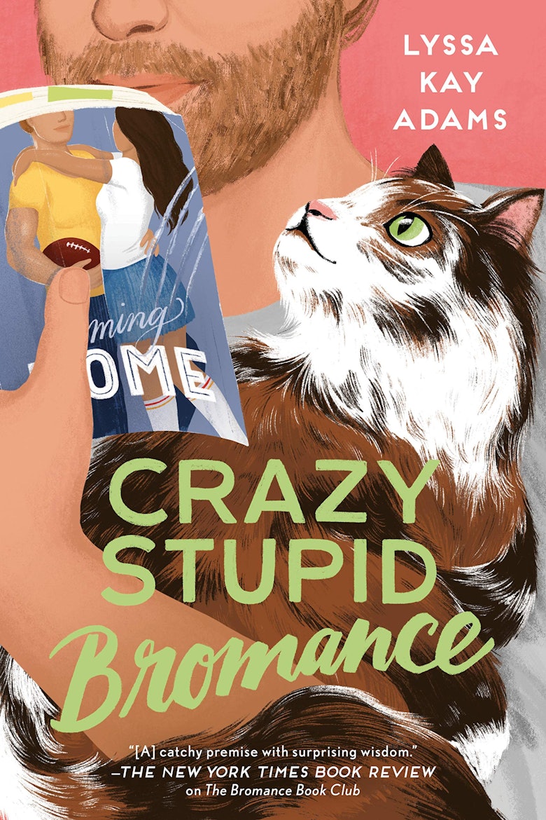 'Crazy Stupid Bromance' by Lyssa Kay Adams