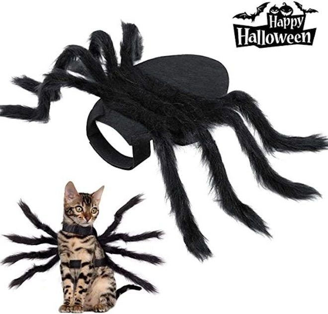 Halloween Spider Costume for Dog Cat