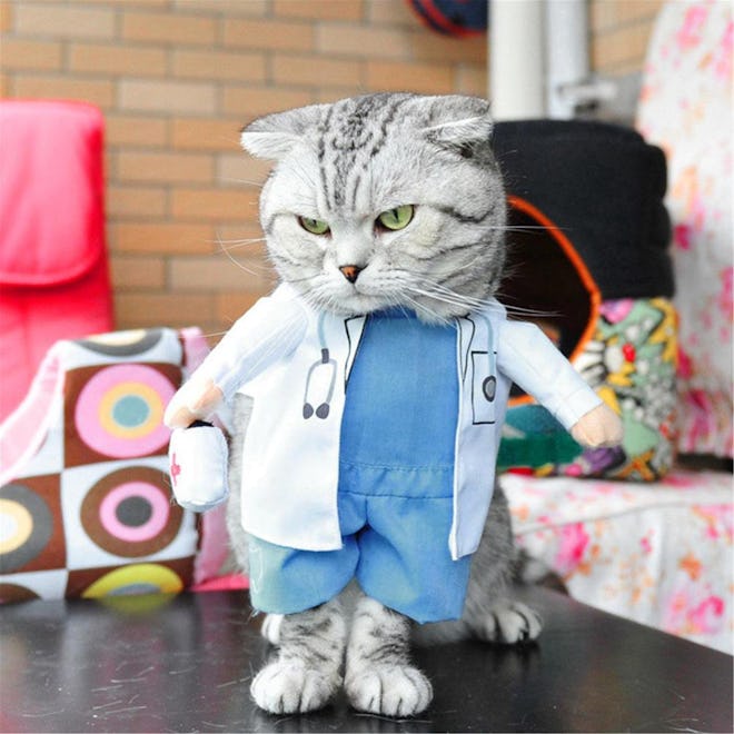 Cat Doctor Costume