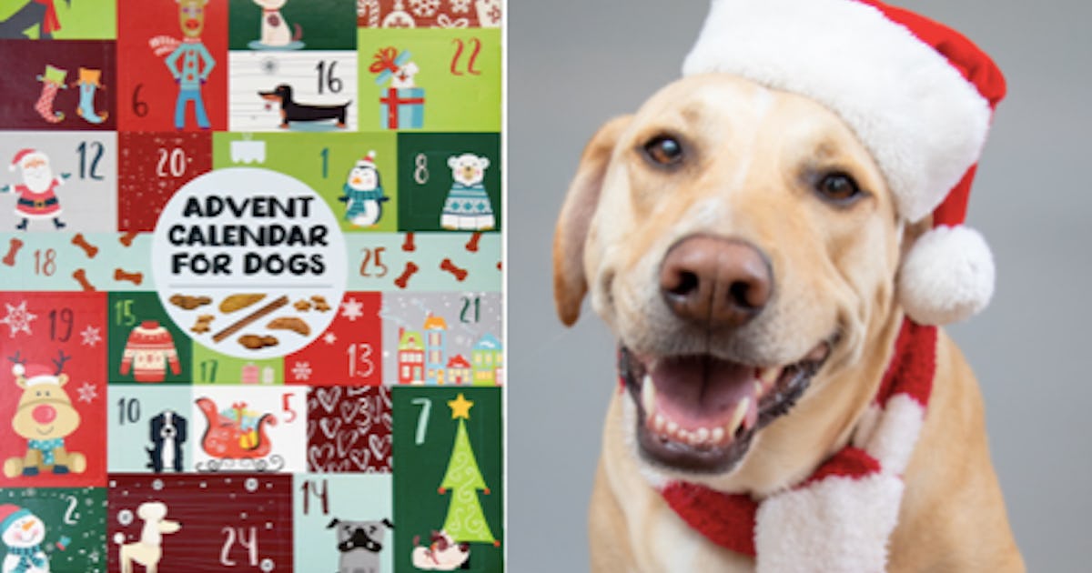 These 2020 Advent Calendars For Dogs Feature So Many Treats & Toys