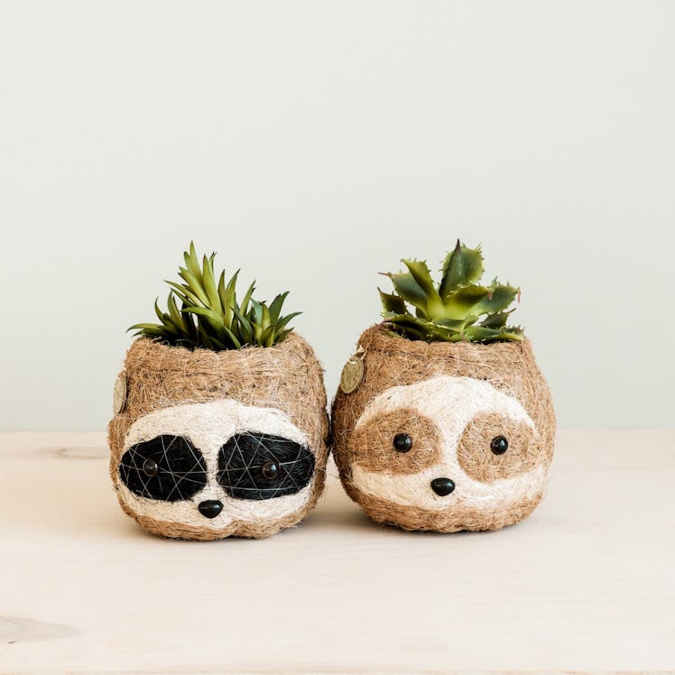 Coco Coir Animal Planter Mini Pot 3-Tone Sloth Dark
