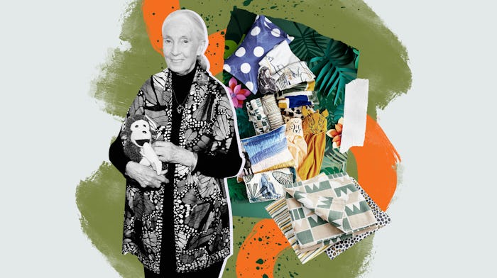 Jane Goodall's collection with crate and kids